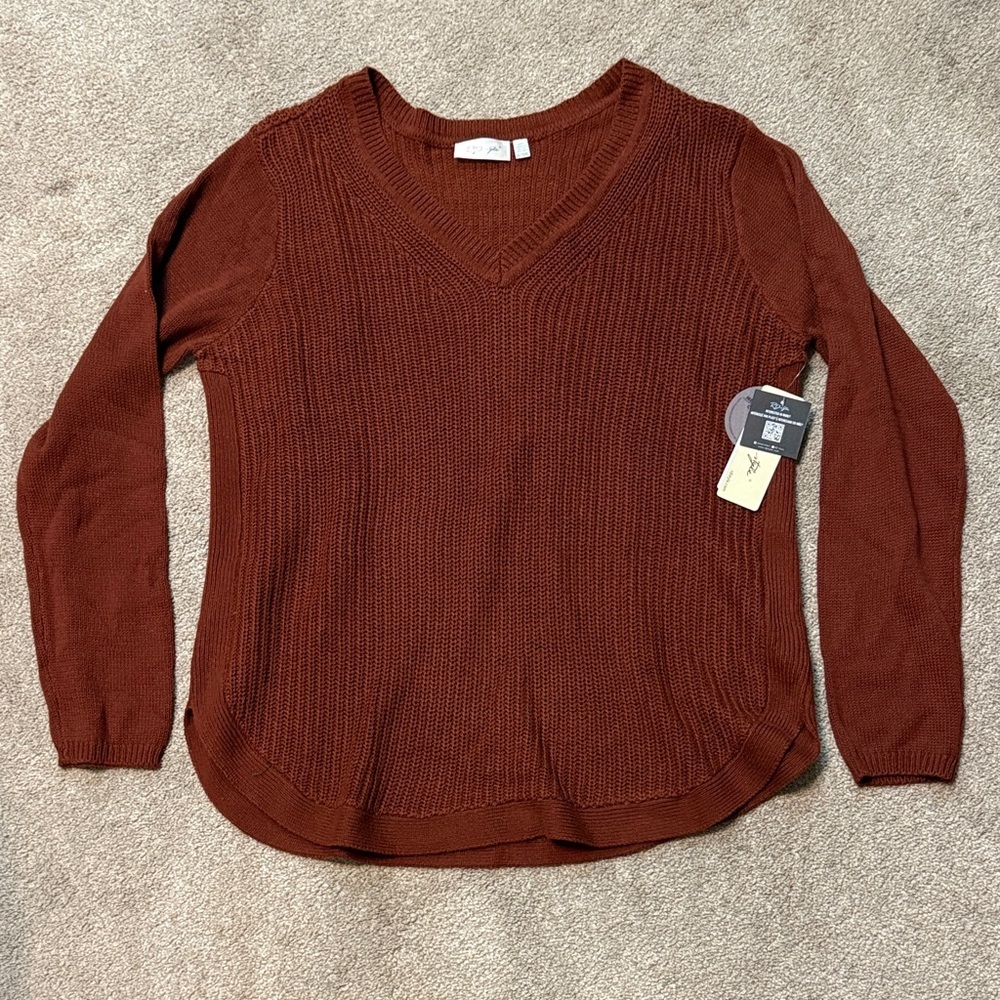 RD Style Rust Brown V-Neck Sweater Size XXL